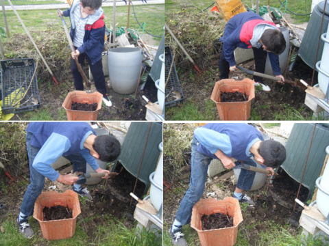 Aproveitamento do composto para fertilizar o solo da horta, estufa e canteiros.